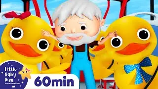 5 Little Ducks On A Bus! | Little Baby Bum Kids Songs and Nursery Rhymes