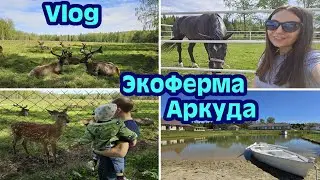 VLOG | АКВАПАРК ЛЕТО-ЛЕТО 🏊‍♀️ ЭКОФЕРМА АРКУДА 🐐🐴🫎 ЗАКУПАЕМ СТРОЙМАТЕРИАЛЫ | К НАМ ПРИШЛО ЛЕТО ☀️