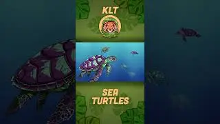 What Do Sea Turtles Eat?! | Sea Animal Songs For Kids | KLT Wild #shorts