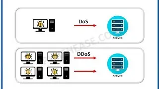 What are DoS and DDoS attacks? || Cyber Exploit 2.0