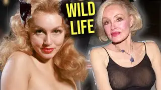 JULIE NEWMAR : SECRET WILD LIFE (Catwoman My Living Doll)