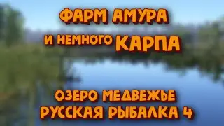 Фарм амура и немножко карпа на озере медвежье. Испытание для карповика. Русская рыбалка 4.