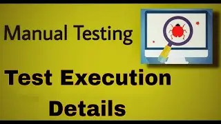 Manual Testing - 45 : Test Execution Details