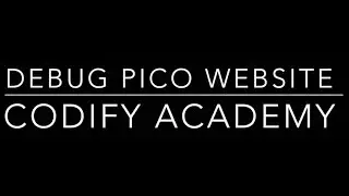 Debugging the Pico Website Replication