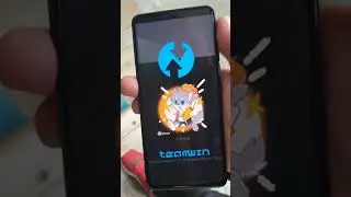 Ребята не понимают что такое TWRP)))