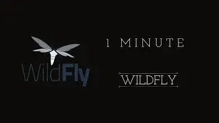 WildFly in One Minute: Unleash Java Enterprise Power!