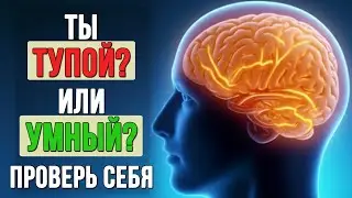 #Тест Насколько Ты Умный? Проверь Себя!