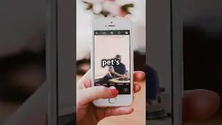 Unlock Your Pet's Secrets with AI Translation! #ai #pets #translation #innovation #shorts