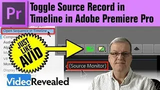 Toggle Source Record in Timeline in Adobe Premiere Pro