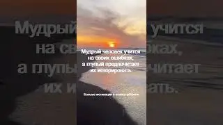 Мудрый человек учится