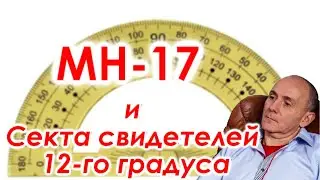 МН-17 и Секта свидетелей 12-го градуса