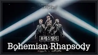 [LIVE] Bohemian Rhapsody - 포레스텔라 (강형호, 고우림, 배두훈, 조민규) / Forestella Mystique Live