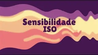 CURSO BÁSICO DE FOTOGRAFIA: O que é a sensibilidade ISO e para que serve