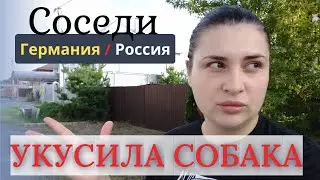 😲Натравили собаку.Границы. Какие соседи в России и Германии? Из Германии в Россию