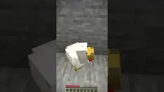 Last moment with gabber ?? 💀🔥✔  #gamingcontent #minecraft #minecraftmeme #trendingshorts #dog