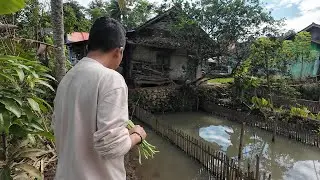 SUASANA SORE YANG TENANG, NYARI BELUT DI KAMPUNG NAMBAH BETAH, HAWA DINGIN PEDESAAN SUNDA JAWA BARAT