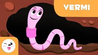 I vermi - Animali invertebrati - Scienze naturali per bambini