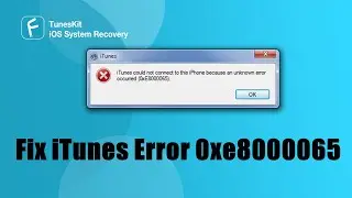 Top 5 Ways to Fix iTunes Error 0xe8000065