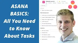 ASANA BASICS: All You Need to Know About Tasks (Project Management Software)