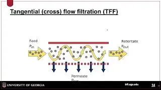 biomanufacturing overview