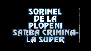 SORINEL DE LA PLOPENI    SARBA CRIMINALA SUPER CHEF SI VOIE BUNA