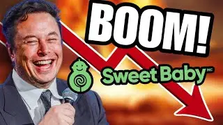 Elon Musk Calls Out Sweet Baby Inc - GamerGate 2 Begins