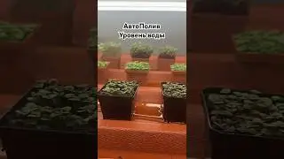АвтоПолив Уровень воды