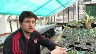 Мастер Георгий Аристов отвечает на вопросы подписчиков - 1