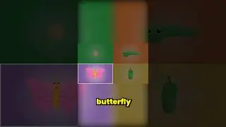A Butterfly is a Cold Blooded Insect - Butterfly Song 