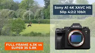 Sony A1 4K Full frame vs Super 35