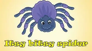 ITSY BITSY SPIDER - Song for Children