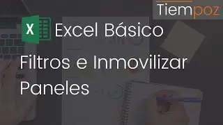 Filtros & Inmovilizar Paneles en Excel | Excel Básico [5]