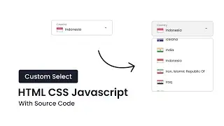 Custom Select Input | HTML CSS Javascript