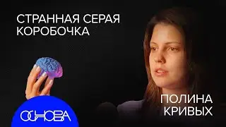ЧТО ПРОИСХОДИТ С МОЗГОМ ОТ ЛЮБВИ? Полина Кривых