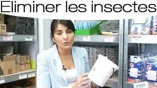 Se débarrasser des moustiques naturellement