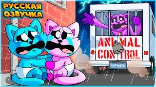 КЭТНАПА СХВАТИЛИ?! - GameToons Анимация | CATNAP is TAKEN?! на русском | fReelaN SHOW