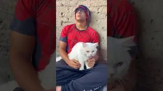 القطة الجعانة 😭😭🐱 