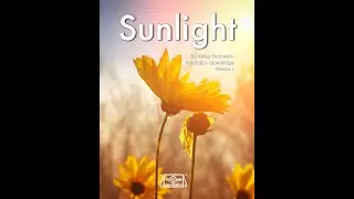 Sunlight (Randall Standridge, String Orchestra, Grade 1)