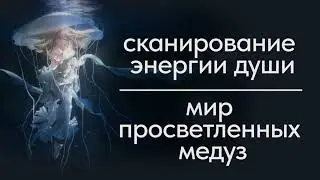 СУПЕР СЕАНС! СМЫСЛ ВОПЛОЩЕНИЙ! Cканирование энергии души мир просветленных медуз #shorts