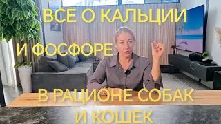 ВСЕ О КАЛЬЦИИ И ФОСФОРЕ ДЛЯ СОБАК И КОШЕК.