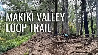 Hiking the Makiki Valley Loop trail, family friendly hike| Oahu Hawaii