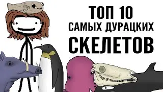 Топ 10 самых дурацких скелетов - Академия Сэма Онеллы | Озвучка Rumble