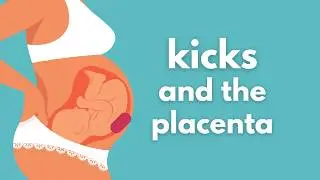 Feeling Less Kicks? Understanding the Anterior Placenta