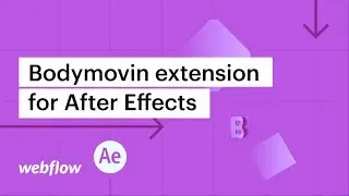 Bodymovin extension for After Effects — After Effects & Lottie in Webflow