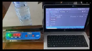 How To Read Data From Digital Scale In Python