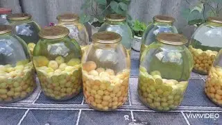 Компот з білої черешні. Самий швидкий спосіб консервування!!!