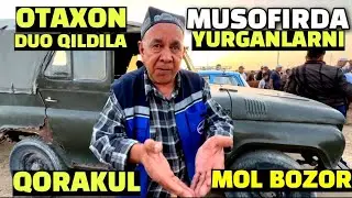 BUXORO QORAKUL MOL BOZOR 14.07.2024/ONA BOLA SIGIR NARXLAR. JONLANGAN BOZOR.