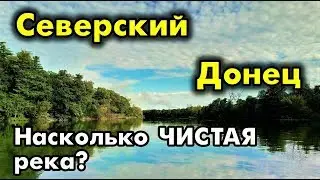 СЕВЕРСКИЙ ДОНЕЦ. Экскурсия по реке. Чистая ли вода?