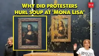 Mona Lisa Painting Attacked in Paris Louvre Museum | Caught on Camera | TOI News