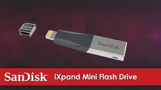 The iXpand Mini Flash Drive for iPhone | Official Product Overview